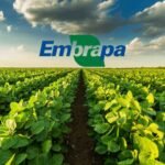 Embrapa avança em combustíveis renováveis e baixo carbono