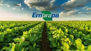 Embrapa avança em combustíveis renováveis e baixo carbono