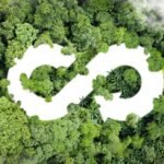Ações de carbono ganham atenção com avanço da economia verde