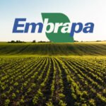 Embrapa avança no monitoramento de carbono do solo