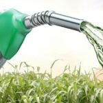 Etanol brasileiro ganha destaque como alternativa a gasolina