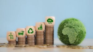 Estudo aponta avanços e desafios dos mercados de créditos de carbono