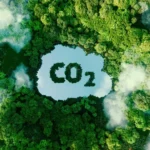 BP captura de carbono no Reino Unido, entenda