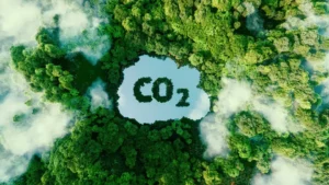 BP captura de carbono no Reino Unido, entenda