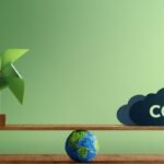 Empresas buscam estratégias mais confiáveis para créditos de carbono
