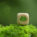 Novo Mercado Brasileiro de Carbono Cria Oportunidades Estratégicas
